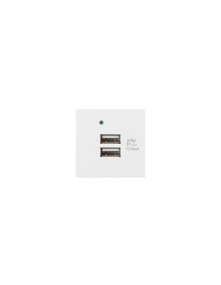 Gniazdo 45x45 230V z ładowarką 2x USB-A 2.1A białe | Osprzęt elektryczny | ODEL.PL